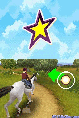 Horse Life Adventures screenshot 3 for Nintendo DS